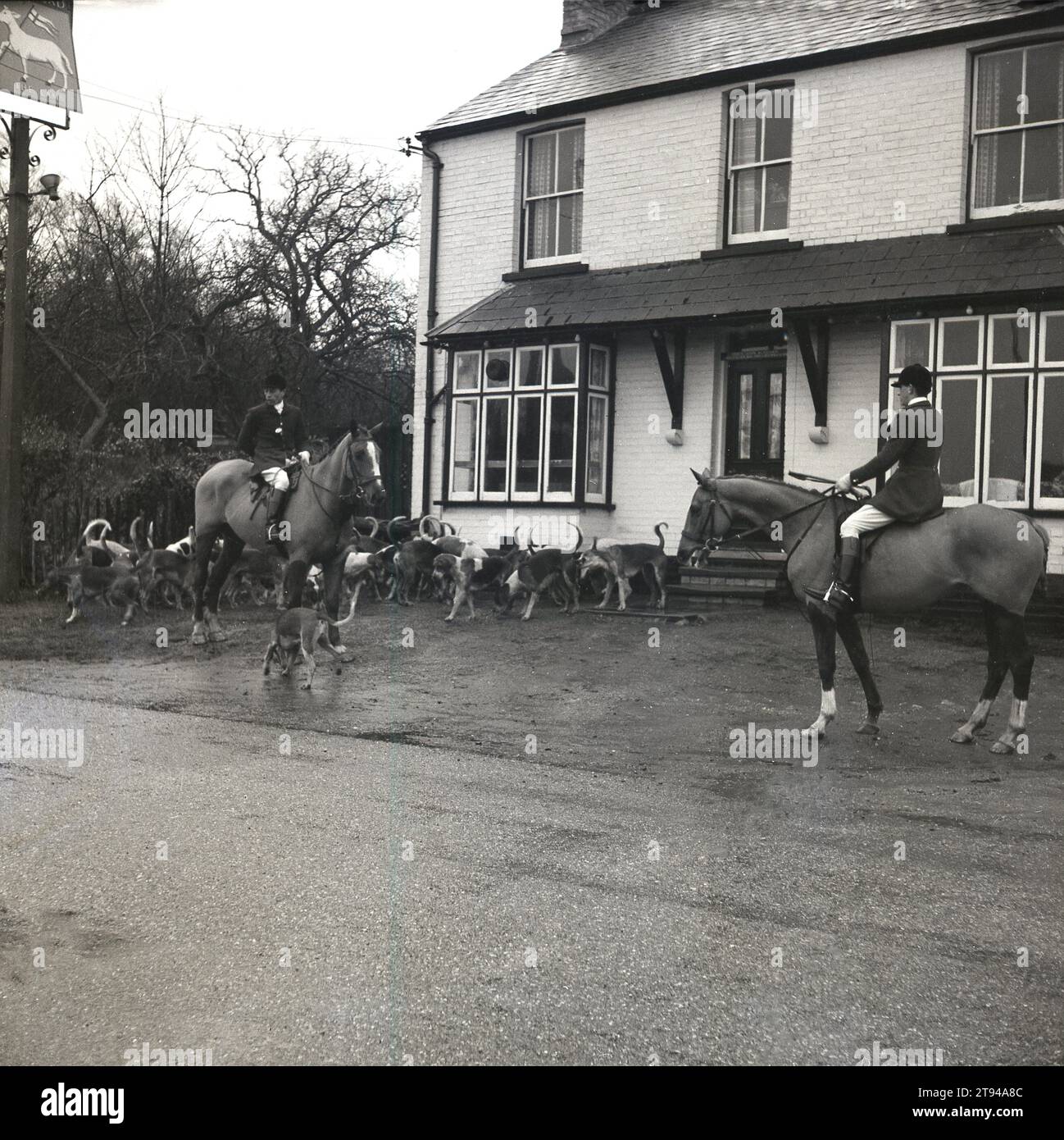 1965, historical, two male members of the Thurlow `hunt on their horses with hounds outside The Lamb pub, near Great Thurlow, Suffolk, England, UK. Based near Newmarket, the Thurlow Hunt origins date back to the early seventeenth century and the Stuart Kings. Stock Photo